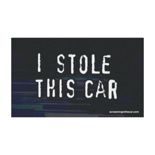 i stole this car bumper magnet
