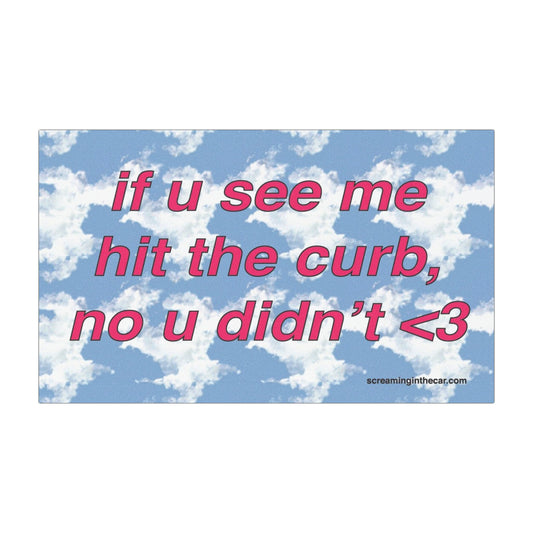 if u see me hit the curb bumper magnet